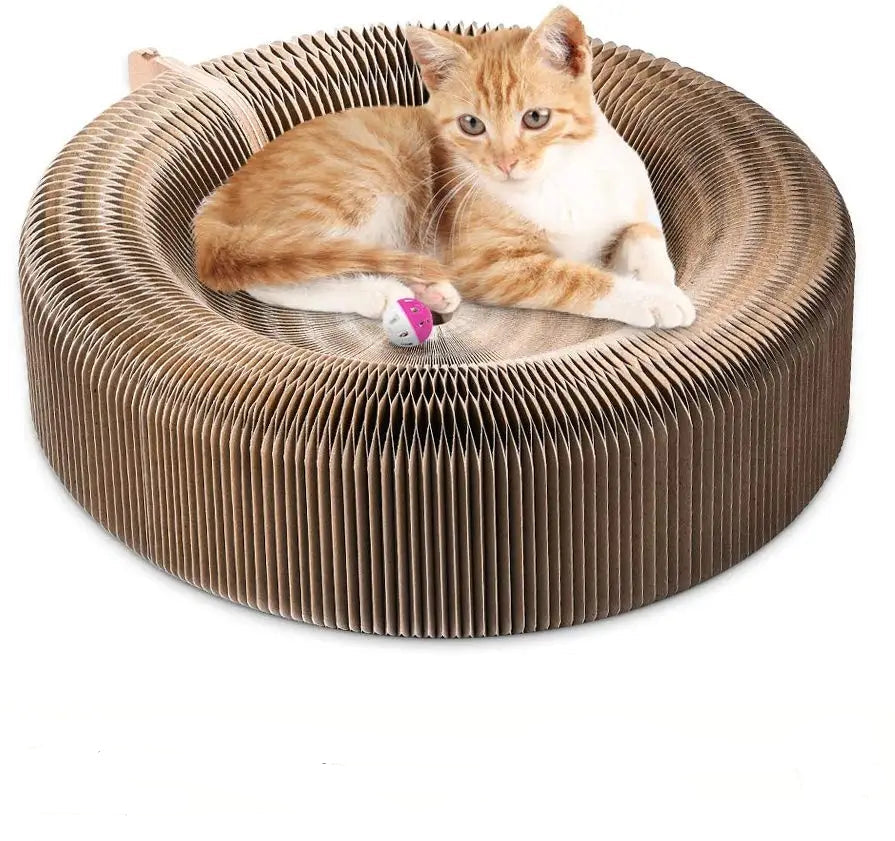 Cat Scratcher and Lounge Bed - Collapsible & Eco-Friendly Design