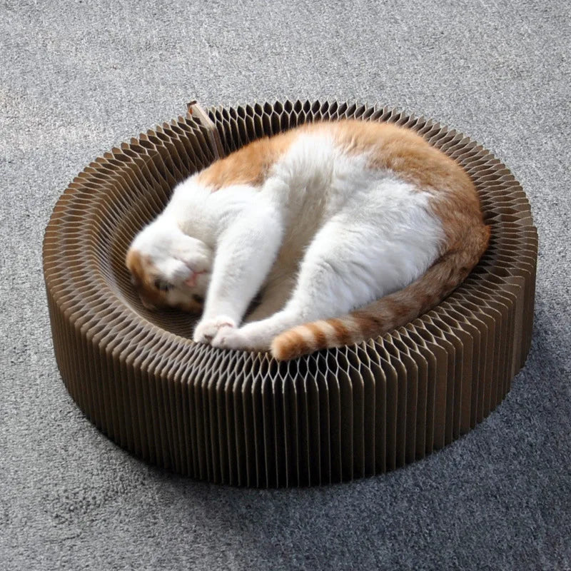 Cat Scratcher and Lounge Bed - Collapsible & Eco-Friendly Design