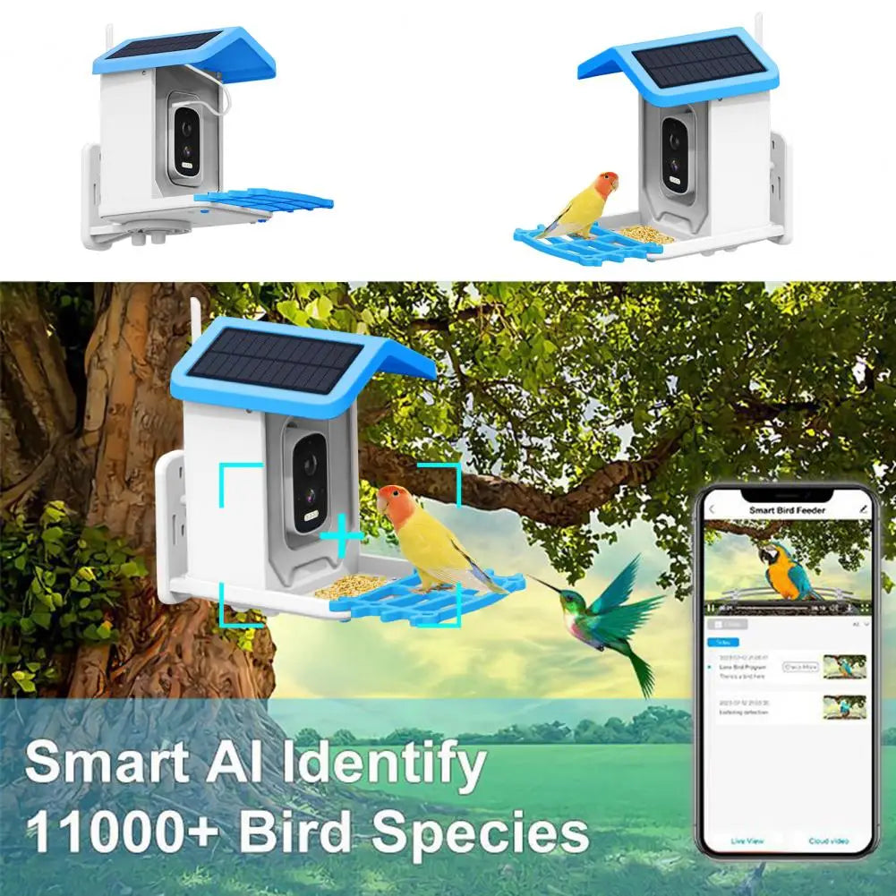 Bird Feeder with Camera, Solar Powered, 1080P HD, Night Vision, IP66