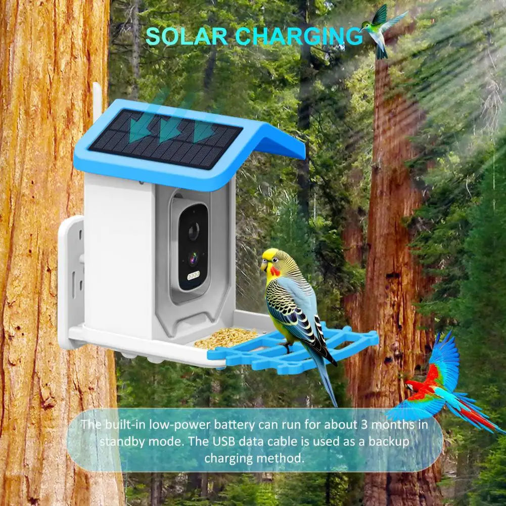 Bird Feeder with Camera, Solar Powered, 1080P HD, Night Vision, IP66
