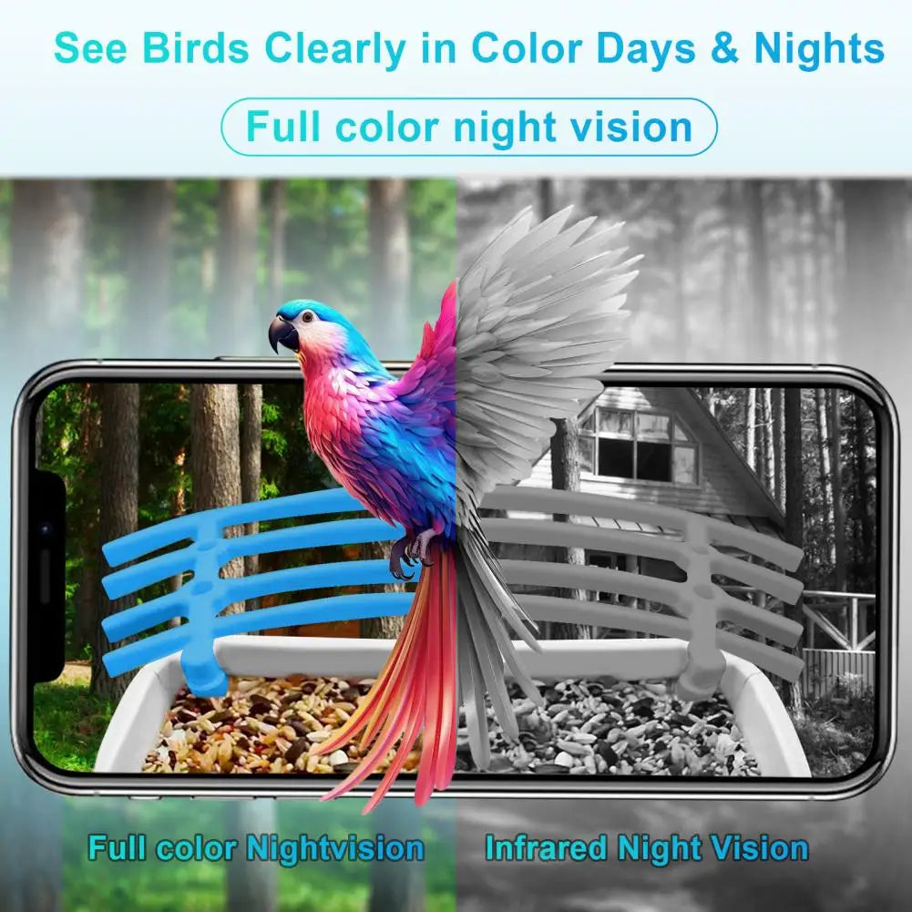 Bird Feeder with Camera, Solar Powered, 1080P HD, Night Vision, IP66